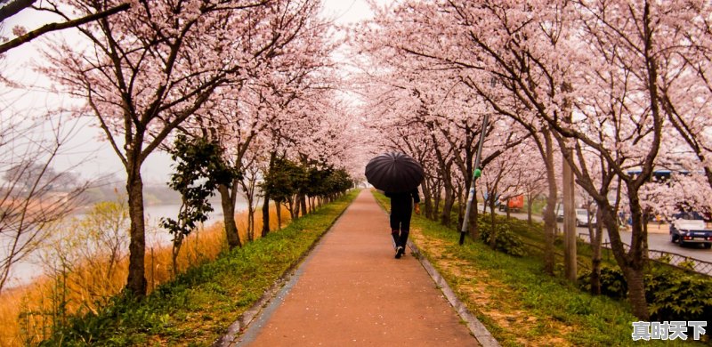 最近武汉天气终于回暖,还会有倒春寒么 - 真时天下