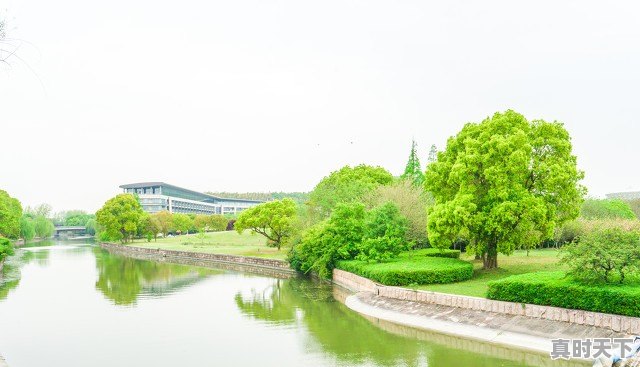 工作中领导总是让创新怎么办 - 真时天下