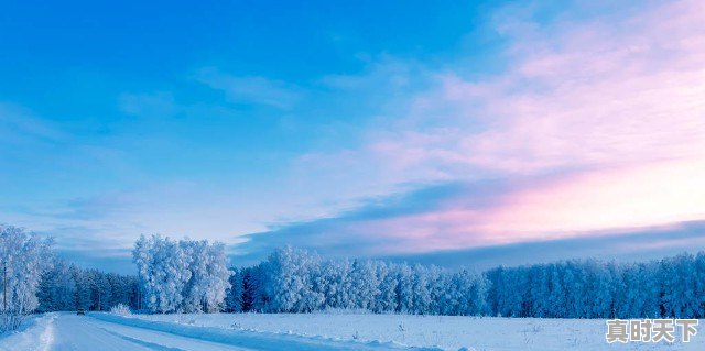 工作中领导总是让创新怎么办 - 真时天下