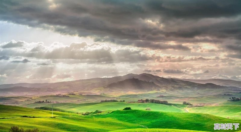 工作中领导总是让创新怎么办 - 真时天下