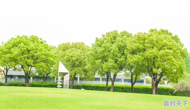 工作中领导总是让创新怎么办 - 真时天下