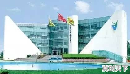 徐州有哪些大企业 - 真时天下