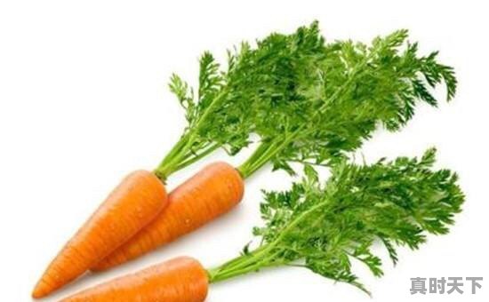 为什么有些地方最近胡萝卜，白萝卜价格都那么贵 - 真时天下