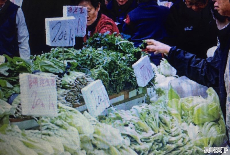 为什么有些地方最近胡萝卜，白萝卜价格都那么贵 - 真时天下