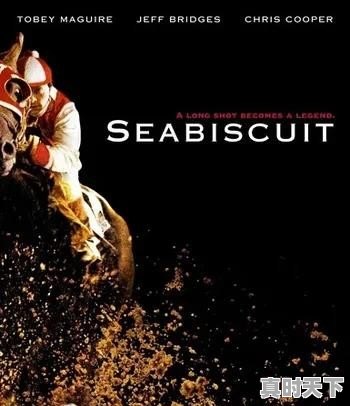 你最喜欢的电影是什么?附图 - 真时天下