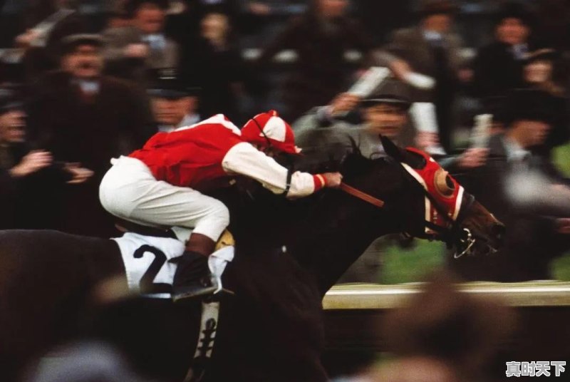 你最喜欢的电影是什么?附图 - 真时天下