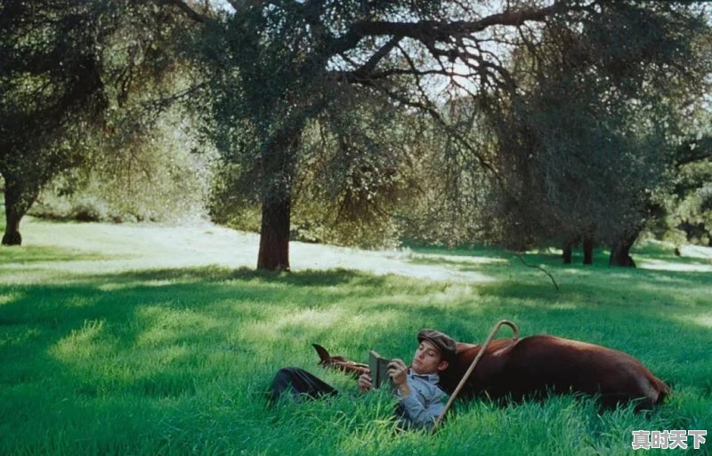 你最喜欢的电影是什么?附图 - 真时天下