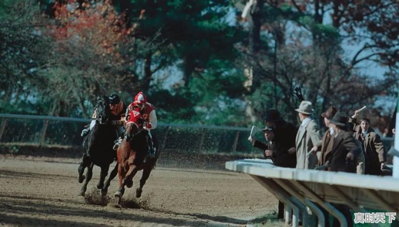 你最喜欢的电影是什么?附图 - 真时天下