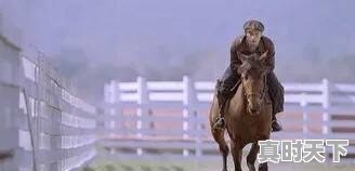 你最喜欢的电影是什么?附图 - 真时天下