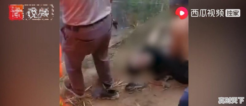 突发!新乡两个17岁男孩落水,被救后已无生命体征,怎么回事 - 真时天下