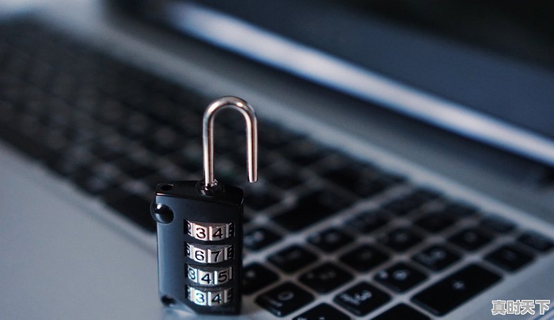 以前偷电瓶的很多,现在怎么没人偷了 - 真时天下