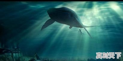 恋爱动漫推荐女生必看的电影中国 - 真时天下