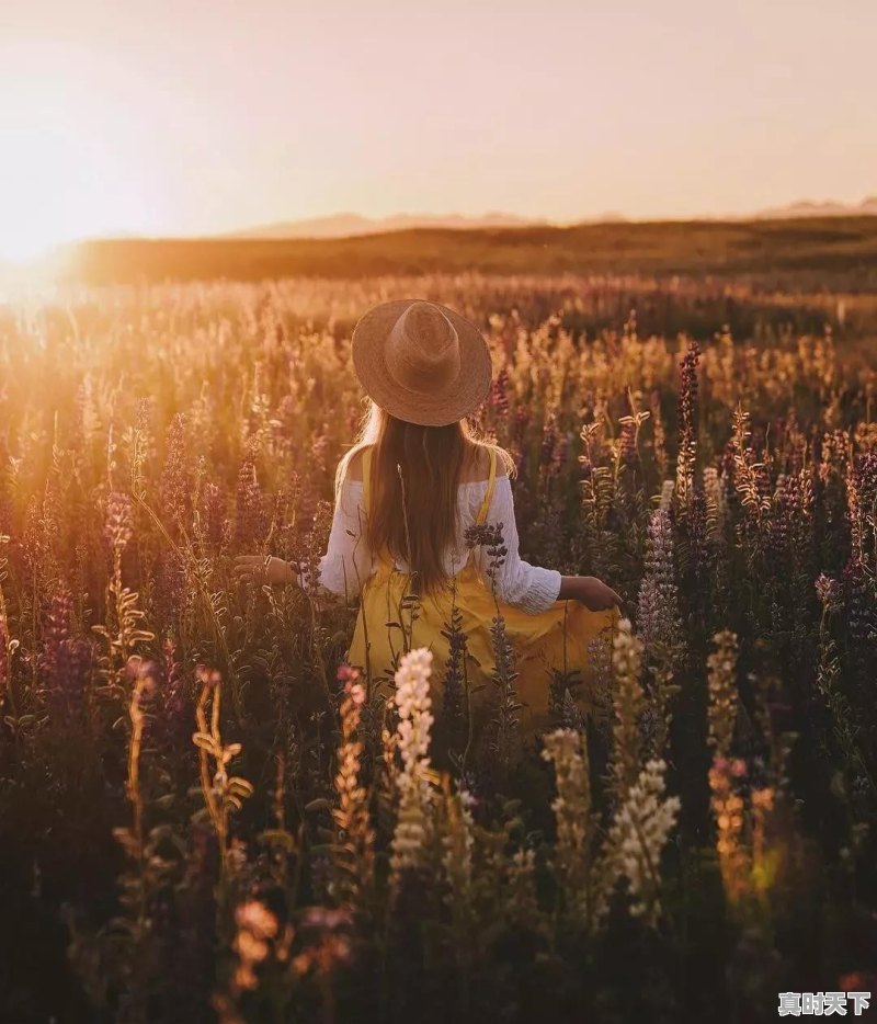 重庆彬彬二手车行车行爆雷,对重庆二手车行业有影响没 - 真时天下