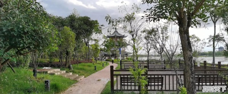 今日猪肉价格云南隆阳区 - 真时天下