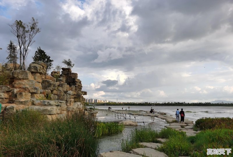 今日猪肉价格云南隆阳区 - 真时天下