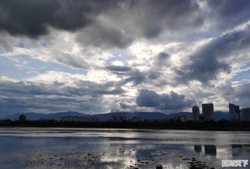 今日猪肉价格云南隆阳区 - 真时天下