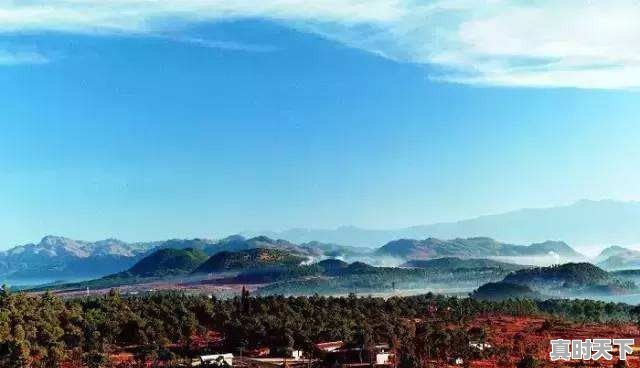 今日猪肉价格云南隆阳区 - 真时天下