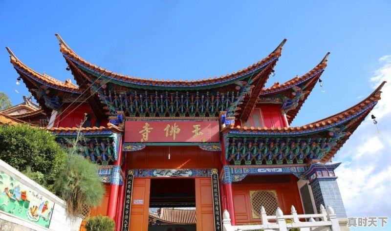 今日猪肉价格云南隆阳区 - 真时天下