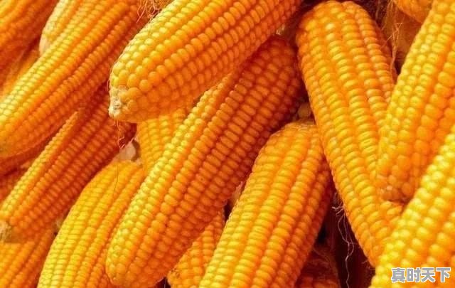 山东原来每个县都有酒厂，能说一下各县区的品牌酒吗 - 真时天下