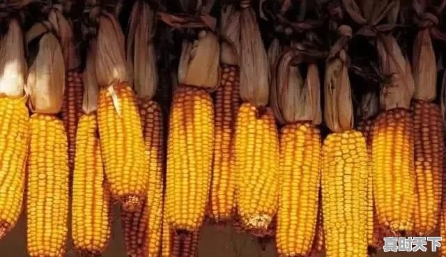 山东原来每个县都有酒厂，能说一下各县区的品牌酒吗 - 真时天下