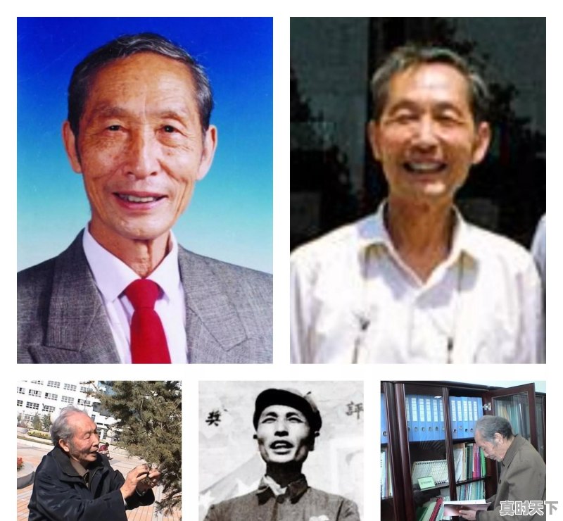 山东原来每个县都有酒厂，能说一下各县区的品牌酒吗 - 真时天下