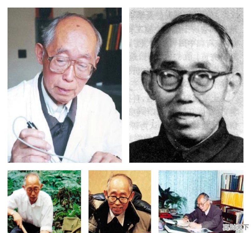 山东原来每个县都有酒厂，能说一下各县区的品牌酒吗 - 真时天下