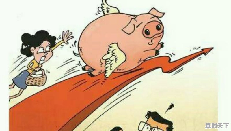 8月15日广西猪价突破15元大关，一日之差涨价1.2元/斤？是喜是忧 - 真时天下