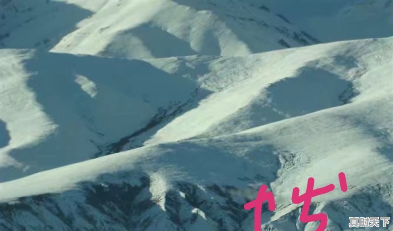 现在可以去成都旅游吗?你怎么看 - 真时天下