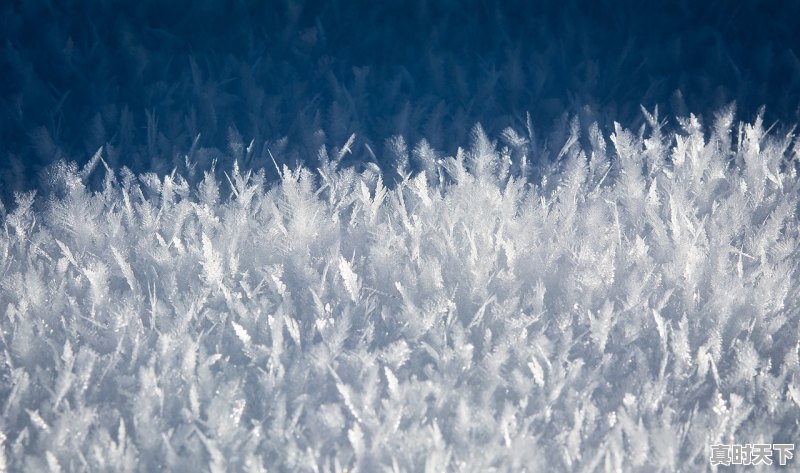 南京最近的气温都在零下10度左右，今年是最近几年最冷的一个冬天吗 - 真时天下