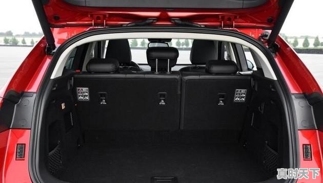 WEY的二手车怎么样？值得购买吗 - 真时天下