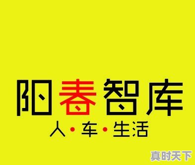 WEY的二手车怎么样？值得购买吗 - 真时天下