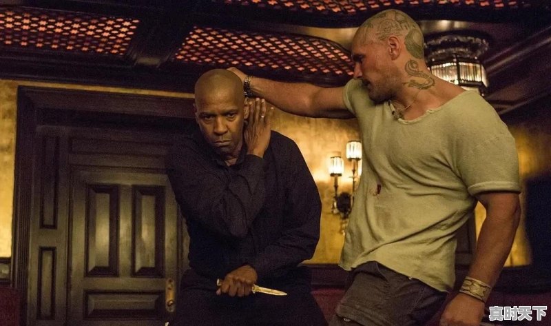 你们看《大赢家》了吗？好看吗 - 真时天下