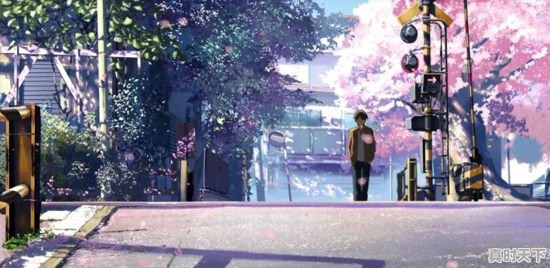 超好看已完结的动漫推荐 - 真时天下