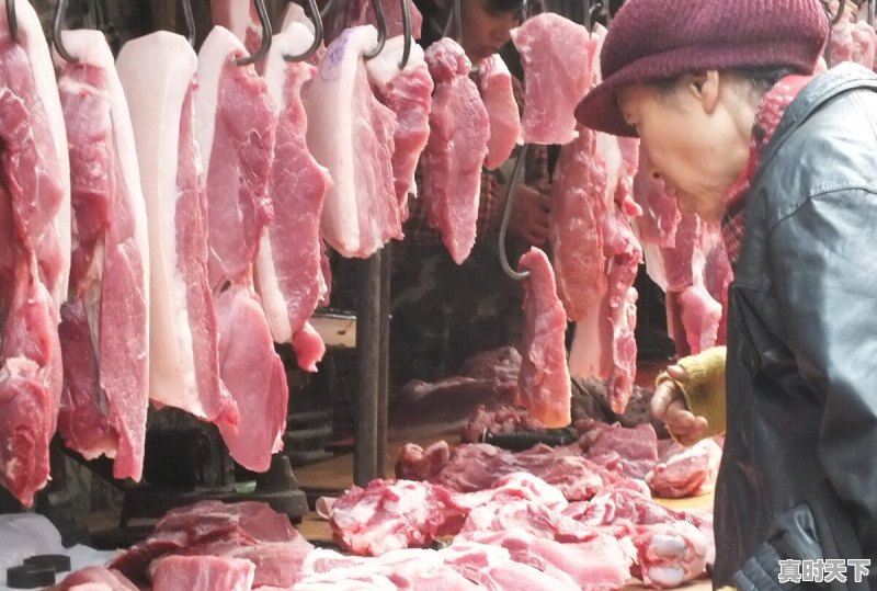 乡下猪肉今日行情最新价格 - 真时天下