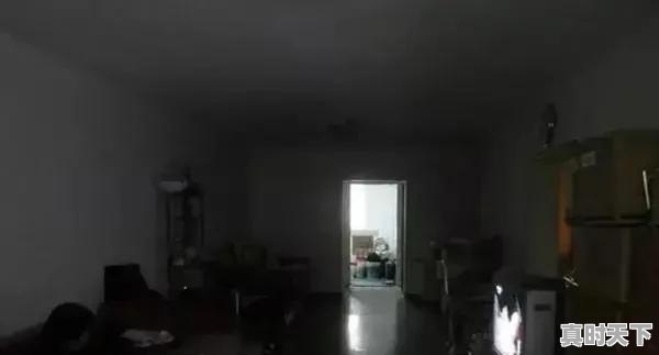 冬天晴天0至9度,西南风向阳无风,为什么钓不到鱼 - 真时天下