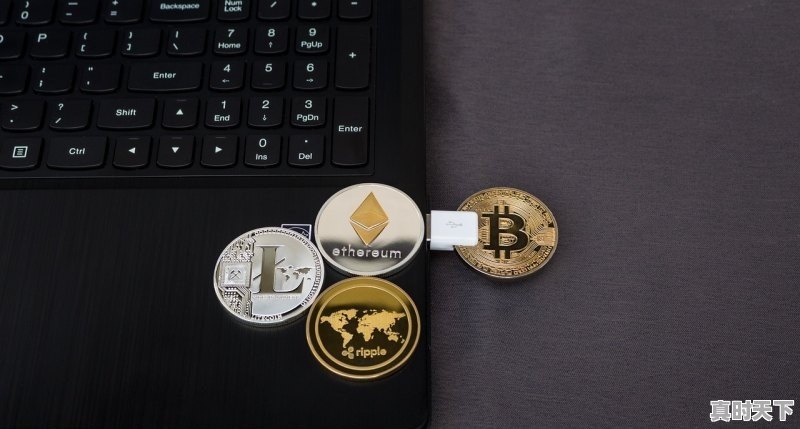 最新电影票排行榜前十名 - 真时天下