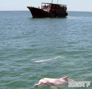 石首天气预 - 真时天下