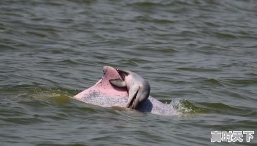 石首天气预 - 真时天下