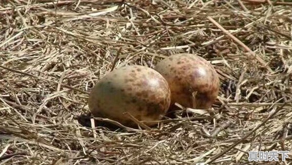 黑河逊克天气 - 真时天下