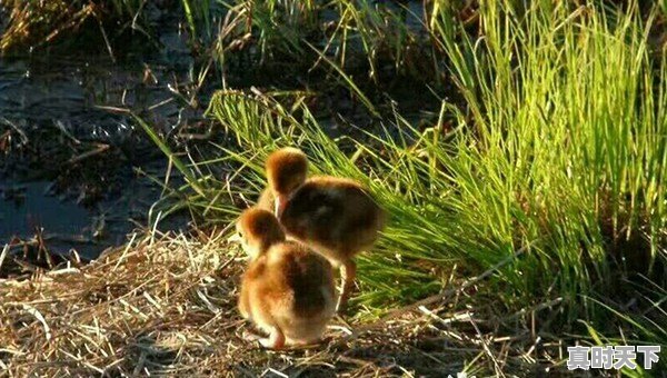 黑河逊克天气 - 真时天下