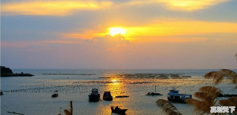 南麂列岛天气 - 真时天下