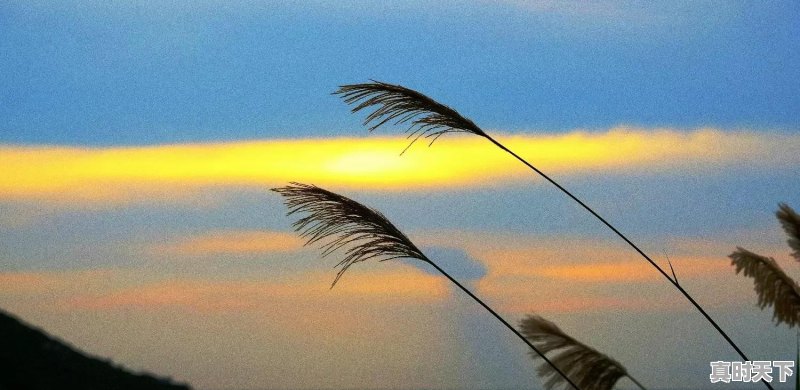 南麂列岛天气 - 真时天下