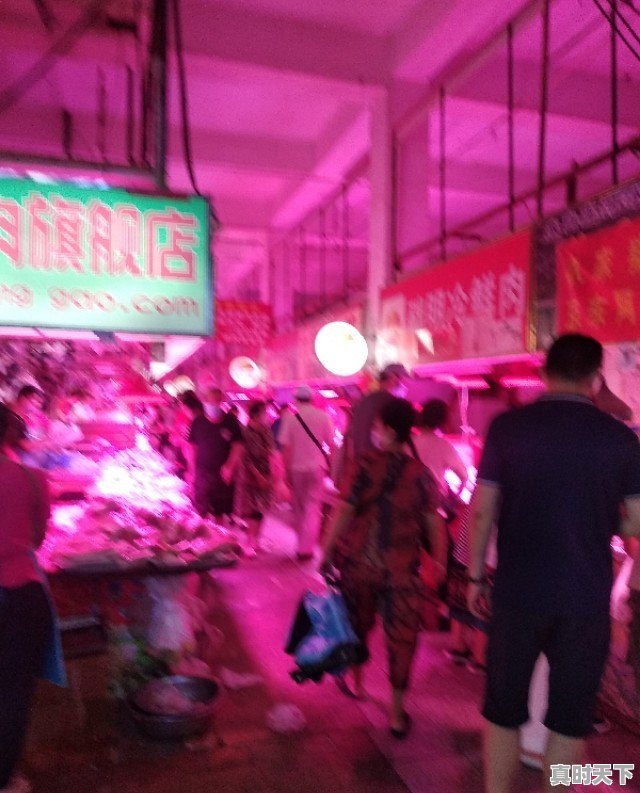 15省份猪肉价格下跌，最低16.8元一斤，目前各地涨跌行情如何 - 真时天下