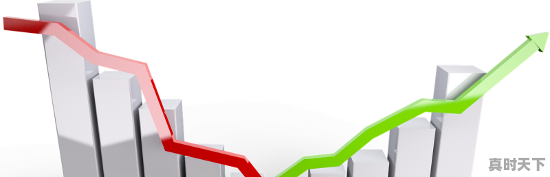 长线投资一般投资什么股票 - 真时天下