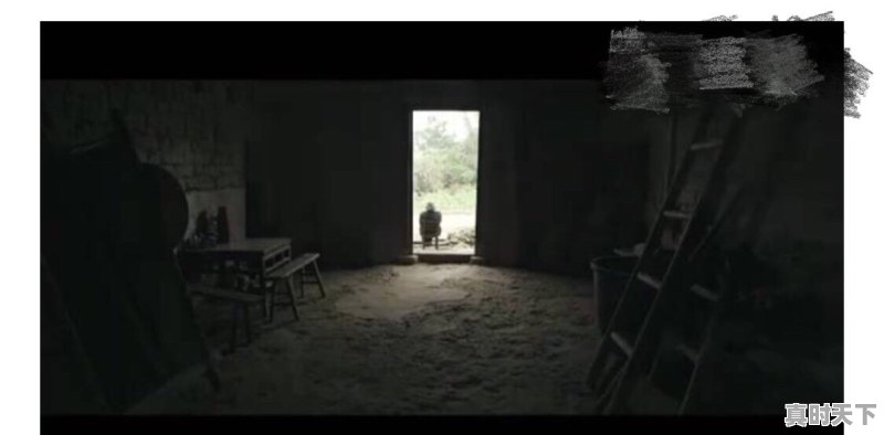 《三十二》和《二十二》是不是同一部影片 - 真时天下