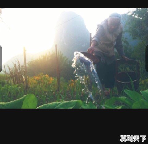 《三十二》和《二十二》是不是同一部影片 - 真时天下