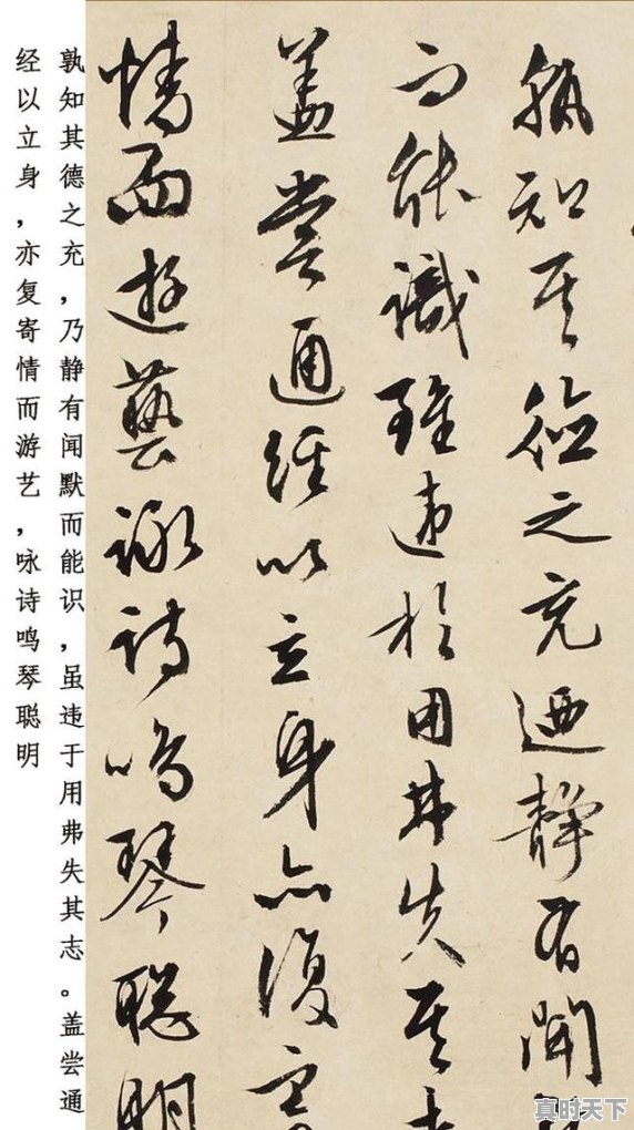 “什么是书法?”为什么会成为现代书法家的一个困惑 - 真时天下