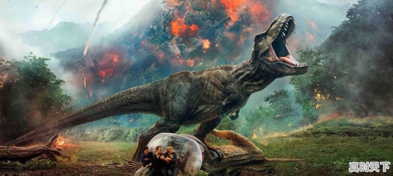 求推荐一部好看的电影 - 真时天下