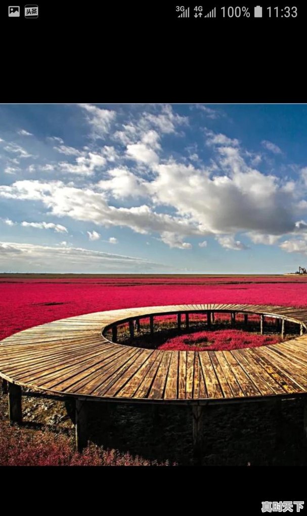 你读过哪些杀气腾腾的诗词 - 真时天下