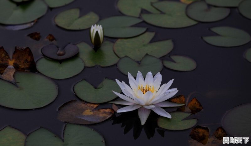 你读过哪些杀气腾腾的诗词 - 真时天下